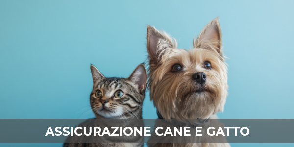 assicurazione cane gatto protezione animali domestici